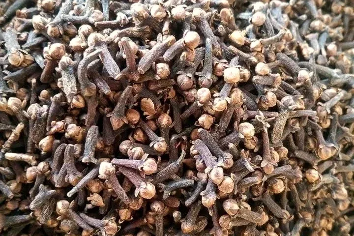 Whole dried cloves, close.